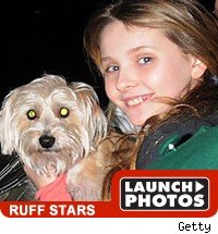 Ruff Stars Ruff Stars