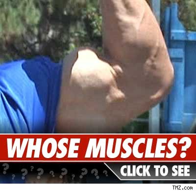 Name that Bicep Whose bicep: Click to reveal