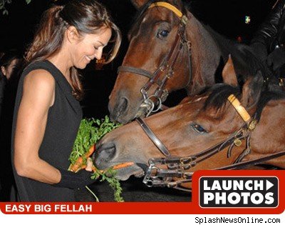 Launch Photos