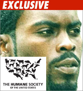Vick in Chicago: There for Da Dogs, Not Da Bears Vick in Chicago: There for Da Dogs, Not Da Bears