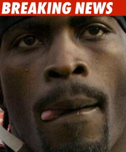 Philadelphia Eagles Swoop Up Michael Vick Michael Vick