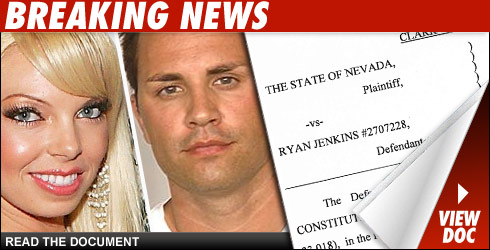 Jenkins Murder Complaint Jenkins Murder Complaint: view doc