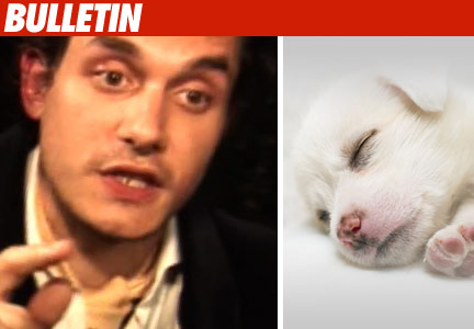 John Mayer Hates Puppies... John Mayer