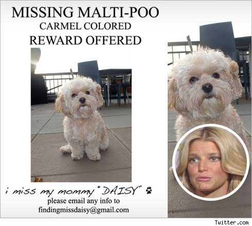 Jessica Simpson Jessica Simpson -- Coyote Took My Doggy