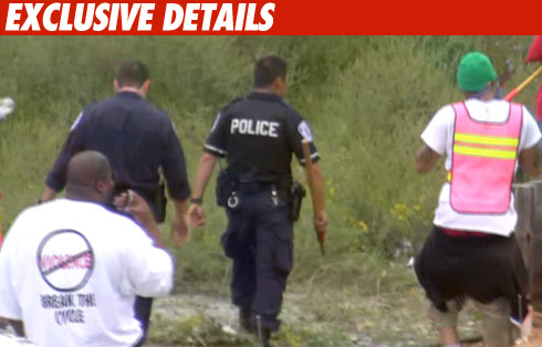 Chris Brown -- The Cost of Extra Protection Chris Brown -- and body guards