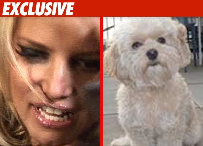 Jessica's Doggy Help -- Calling Off the Search Jessica Simpson and Daisy