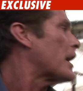 David Hasselhoff