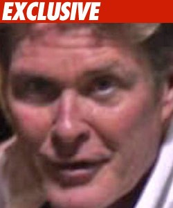david hasselhoff david hasselhoff