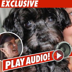 Pet Tracker Wins 2nd Chance with Brooke's Dog Pet Tracker