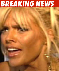 Anna Was Investigated over Possible Murder Plot Anna Nicole Smith