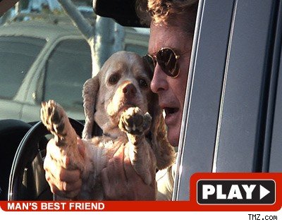 David Hasselhoff -- Doggy Ventriloquist? David Hasselhoff