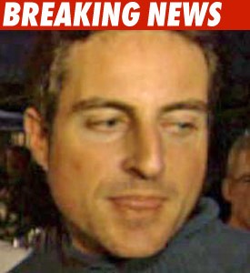Stern Allegedly Liquefied Drugs for Anna Howard k stern