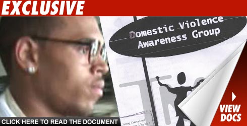 Chris Brown Domestic Violence Booklet