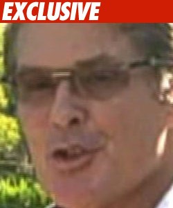 The Hoff -- Coming to a Small Screen David Hasselhoff