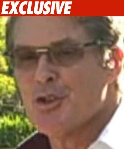 Hoff Gambles with Sobriety in Canadian Casino David Hasselhoff