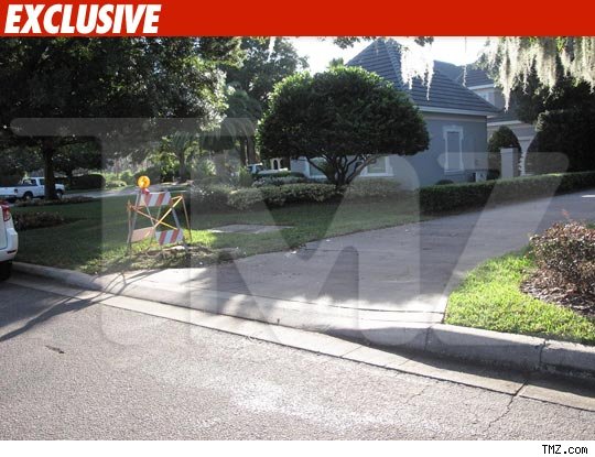 Tiger Woods -- The Scene of the Accident Tiger Woods