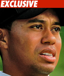 Tiger Slams Door on Cops -- Again Tiger Woods