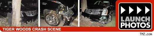 tiger woods crash scene