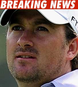 Graeme McDowell -- The New Tiger Graeme McDowell -- The New Tiger
