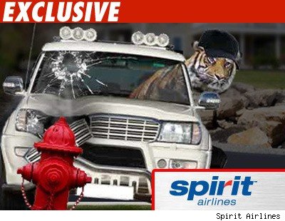 Tiger Mocked in Airline Ad Spirit Airlines