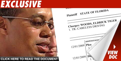 Tiger Woods Pays Debt to Society Tiger Woods Pays Debt to Society