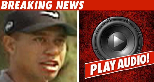 Tiger Crash Witness -- He Was Snoring Tiger Woods: Click to launch
