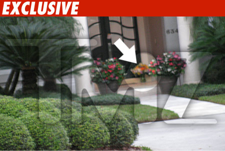 Tiger Woods -- Everything's Comin' Up Roses Tiger Woods