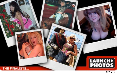 TMZ's Cougar Contest -- Final 5! TMZ's Cougar Contest -- Final 5!