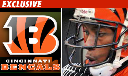Bengals X-Mas Party Converted into Memorial Chris Henry