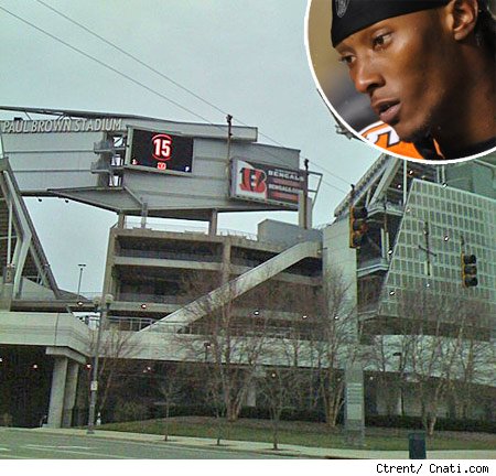 Bengals Stadium