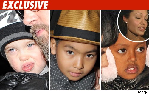 Angelina's Mom Leaves Grandkids Six Figures angelina jolie