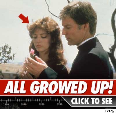 Thorn Birds