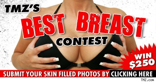 TMZ's Best Breast Contest! TMZ's Best Breast Contest!