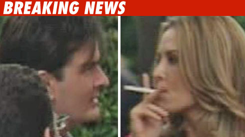 Charlie Sheen, Brooke Mueller Hearing Delayed Charllie Sheen