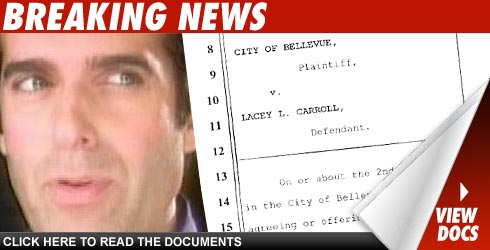 Copperfield Accuser Charged with Prostitution David Copperfield: Click to view docs