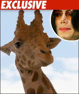 GIRAFFE AND MICHAEL JACKSON GIRAFFE AND MICHAEL JACKSON