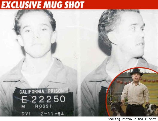 Animal Planet Star -- Attempted Murderer Animal Planet Star -- Attempted Murderer