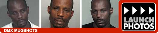 DMX Mugshots DMX Mugshots