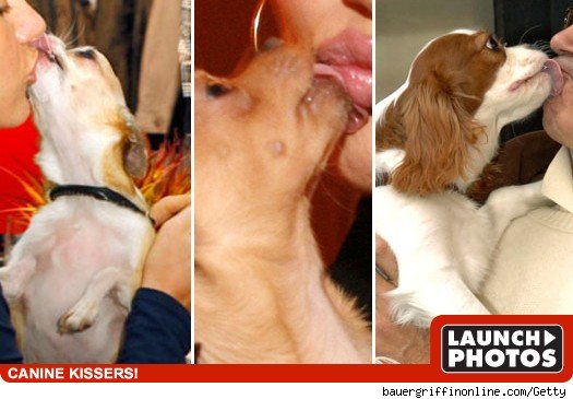 Guess the pooch smooch