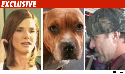 Sandra Bullock, Cinnabun, Jesse James