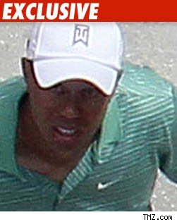 Tiger Woods' Tale Disputed by Many Tiger Woods