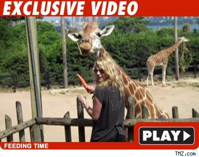 Ke$ha -- Wanna See a Carrot Disappear? Ke$ha -- Click to watch