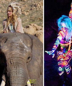 Ke$ha's New Vid -- Neon & Elephants?!
