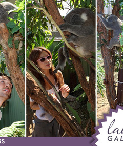 'Twilight' Stars Go Down Undah