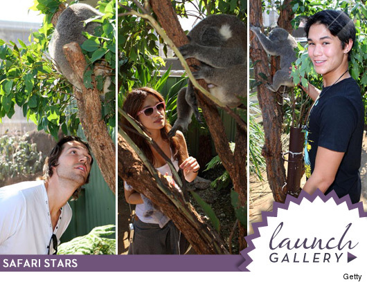 'Twilight' Stars Go Down Undah