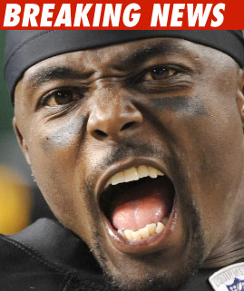 0430_santonio_holmes_BN_Getty_01