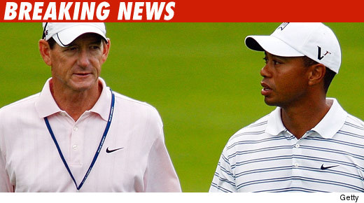 tiger woods tiger woods