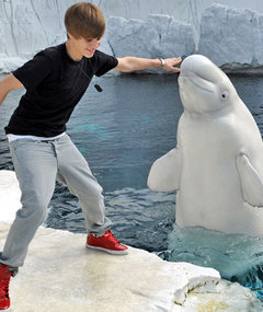 Bieber Has a Whale of a Time