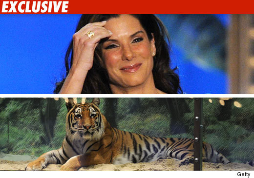 Sandra Bullock Sandra Bullock