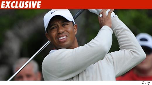 0620_tiger_getty_EX_02